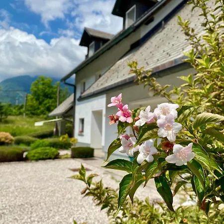 Apartment Alpha Center Bovec
