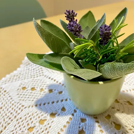 Alpha Center Apartamento