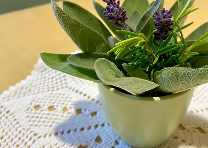 Alpha Center Lägenhet