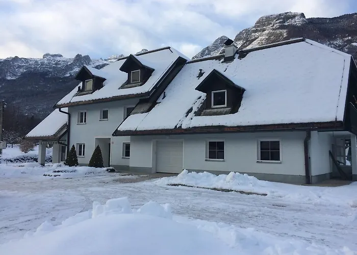 Alpha Center Appartement *